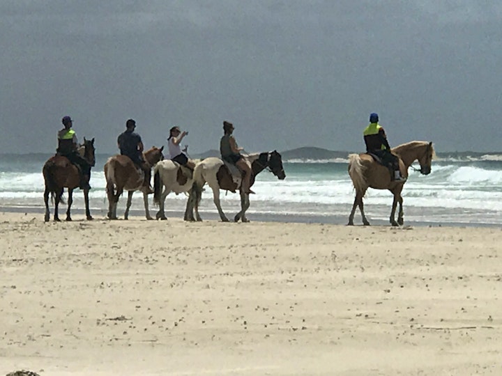 Western Cape Accommodation at Struisbaai Beach House | Viya