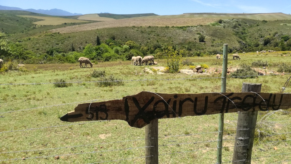 Overberg Accommodation at  | Viya