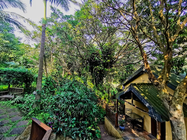 KwaZulu-Natal Accommodation at Figtree Lane Lodge | Viya