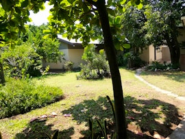 Lowveld Accommodation at Elephant Walk Guesthouse and Backpackers | Viya