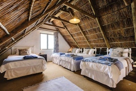 Garden Route Accommodation at  | Viya