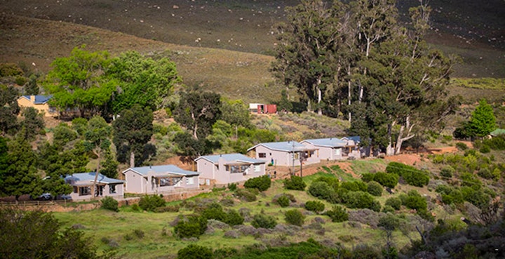 Western Cape Accommodation at Cederberg Algeria - Grey Rhebok | Viya