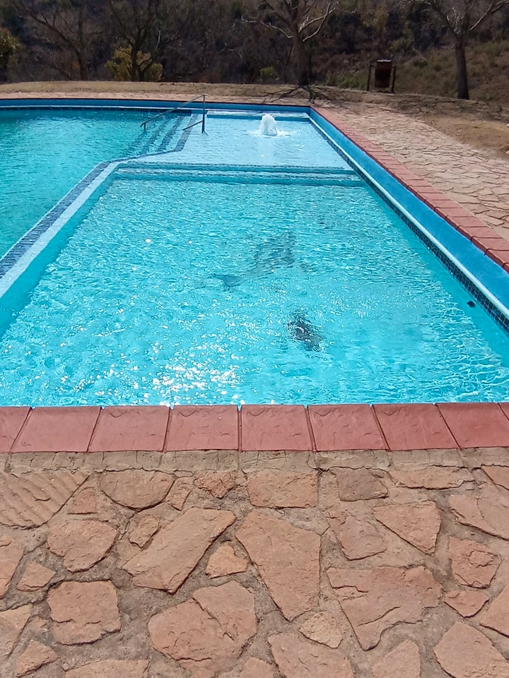 Gauteng Accommodation at Bos Hotel | Viya