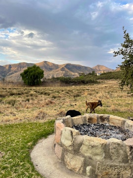 Drakensberg Accommodation at Bergwoning Accommodation & Guest Farm | Viya