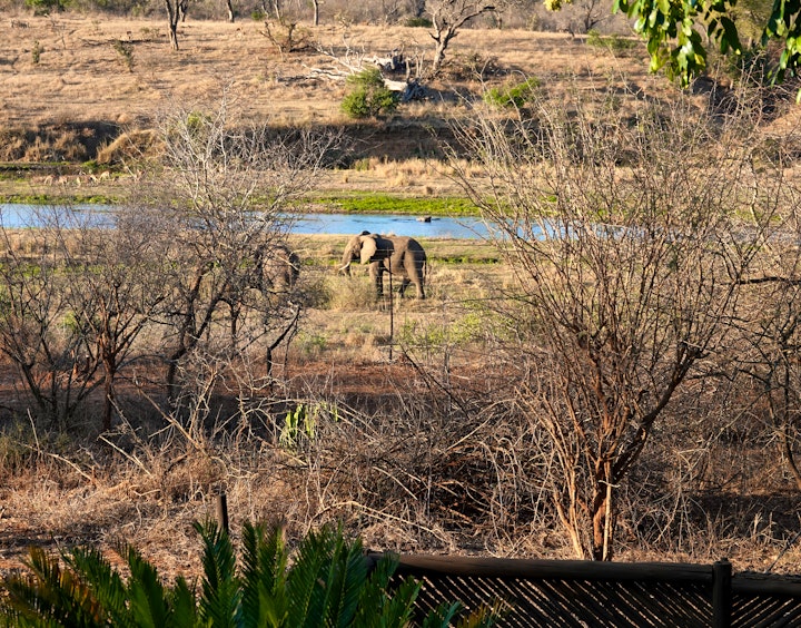 Kruger National Park South Accommodation at Tau Self-catering House | Viya