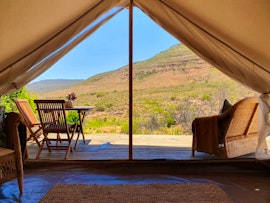 Western Cape Accommodation at  | Viya