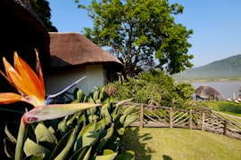 Wild Coast Accommodation at  | Viya