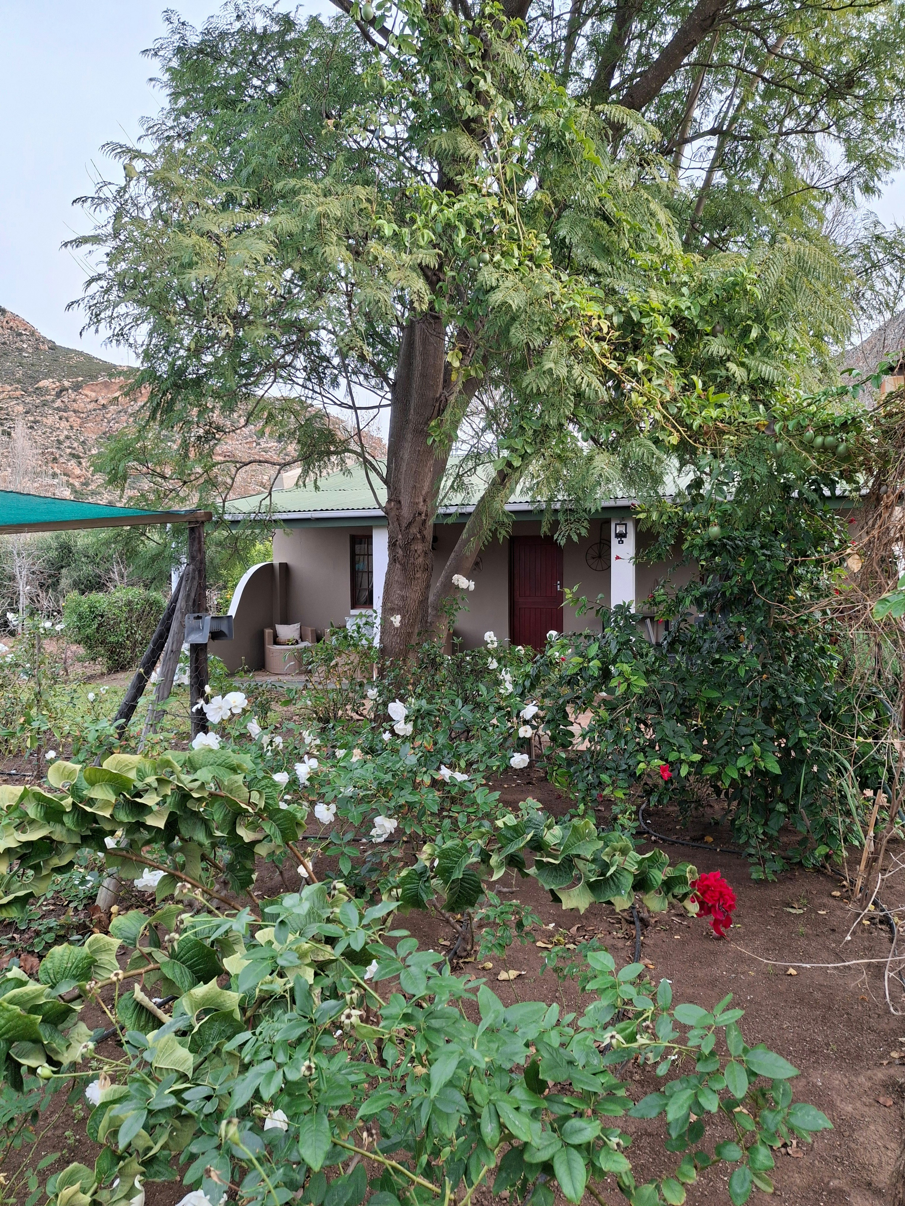Cottage on Long image no 23 of 23