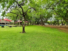 Limpopo Accommodation at Mabalingwe Caravan Park | Viya