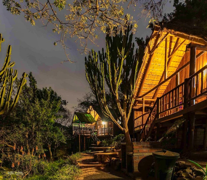 KwaZulu-Natal Accommodation at The Treehouse River Lodge | Viya