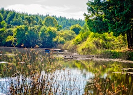 Magoebaskloof Accommodation at Stanford Lake Lodge | Viya