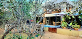 Kruger National Park South Accommodation at Loerie Escape | Viya