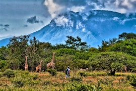 Kruger To Canyons Accommodation at The Hidden Valley | Viya