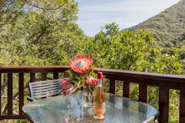 Western Cape Accommodation at Ballots Bay Treehouse | Viya