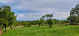 Dinokeng Game Reserve Accommodation at  | Viya