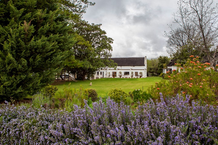 Western Cape Accommodation at Leipzig Country House | Viya