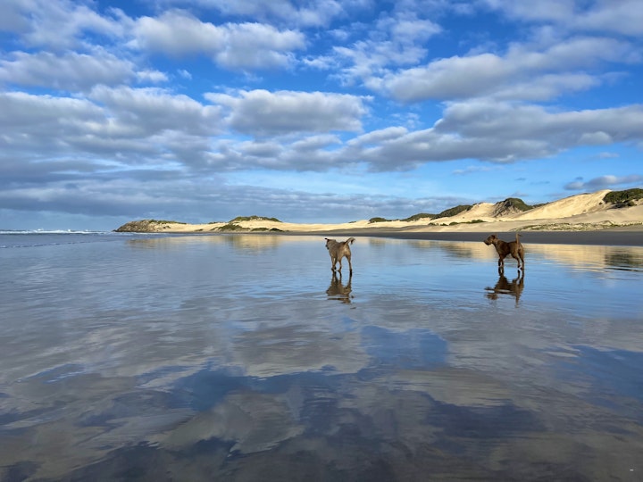 Bushman's River Mouth Accommodation at Boesmans strandhuis | Viya