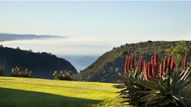 Western Cape Accommodation at Carmel Coastal Retreat | Viya