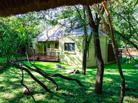 Kruger To Canyons Accommodation at  | Viya