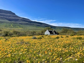 Western Cape Accommodation at  | Viya