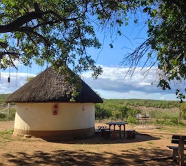 Mpumalanga Accommodation at SANParks Balule Rest Camp | Viya