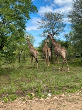 Kruger National Park South Accommodation at Kruger Bush Retreat | Viya