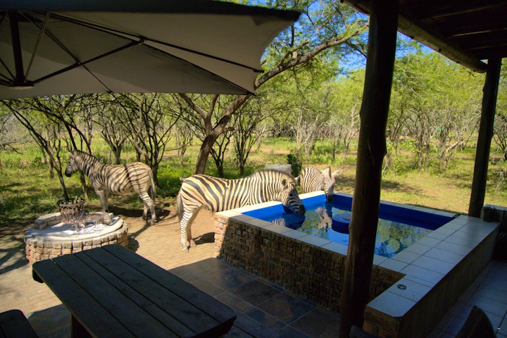 Kruger National Park South Accommodation at Yochanan | Viya