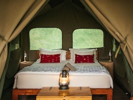 Kruger To Canyons Accommodation at Bushveld Bivouac Trails Camp | Viya