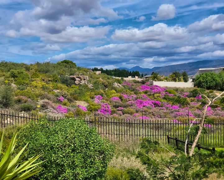 Cederberg Accommodation at Cozy Lake Cottage | Viya