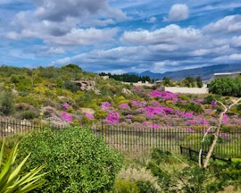 Cederberg Accommodation at Cozy Lake Cottage | Viya