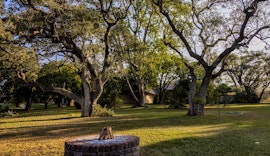 Kruger To Canyons Accommodation at  | Viya