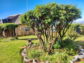 Free State Accommodation at  | Viya