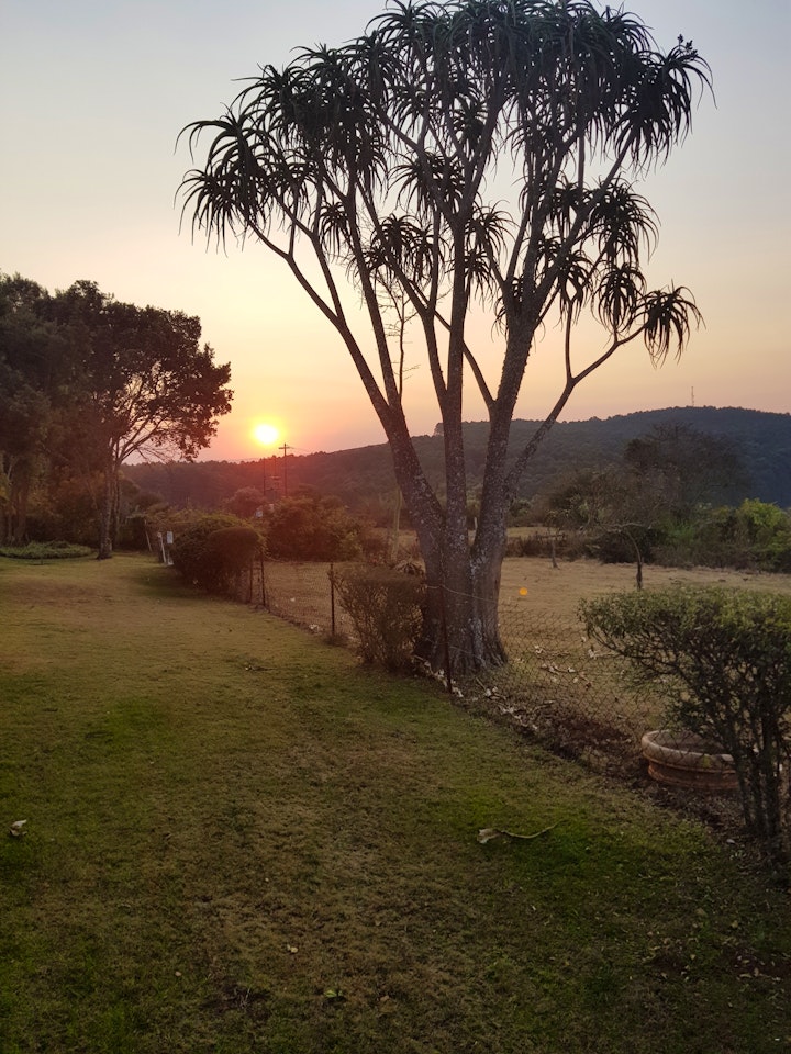 Panorama Route Accommodation at The Blue Swallow | Viya