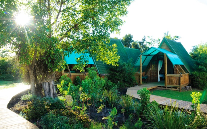 Garden Route Accommodation at Tube 'n Axe Boutique Lodge, Backpackers and Camping | Viya