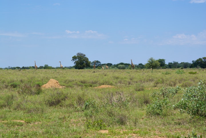 Limpopo Accommodation at Goudrivier Wildoord | Viya