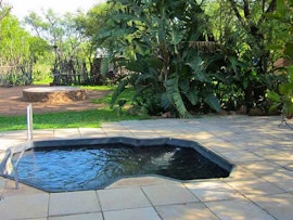 Dinokeng Game Reserve Accommodation at Koedoesrus Boskamp | Viya