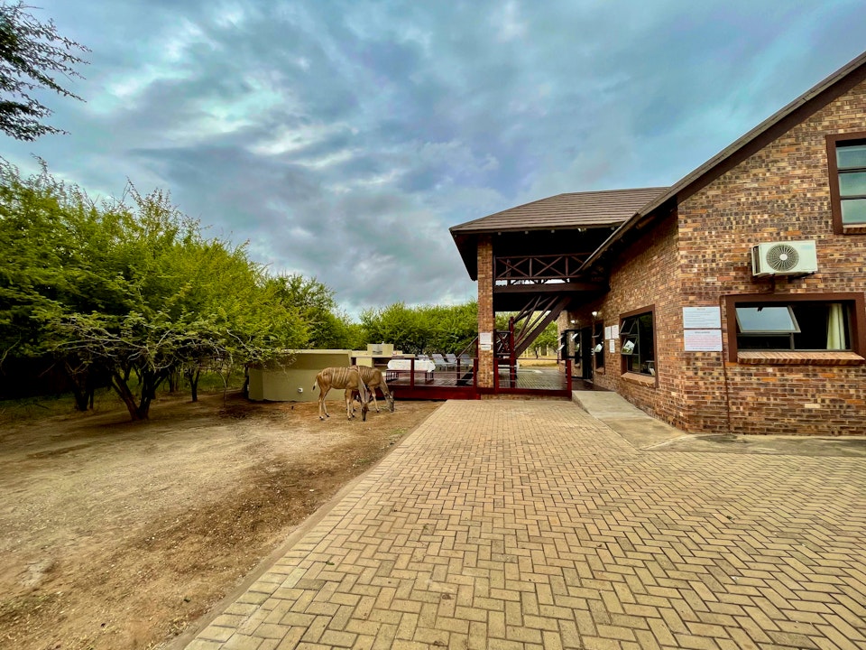 Kruger National Park South Accommodation at  | Viya