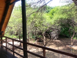 Kruger National Park South Accommodation at  | Viya