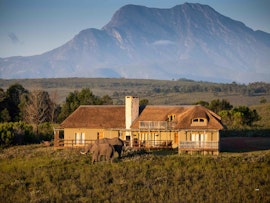 Western Cape Accommodation at  | Viya