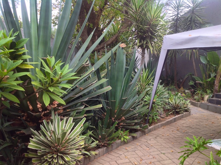 Johannesburg Accommodation at De Lone Hill Guesthouse | Viya