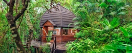 Wild Frontier Accommodation at  | Viya