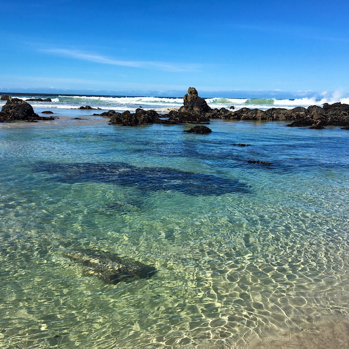 Betty's Bay Accommodation at Listening Wind Self-catering | Viya