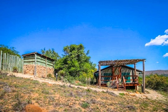 Eastern Cape Accommodation at  | Viya