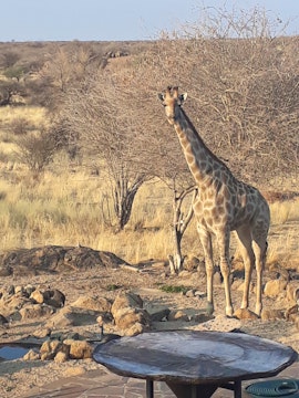 Erongo Accommodation at Oma Ongo | Viya