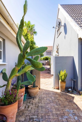 Bloubergstrand Accommodation at Funky Flat | Viya