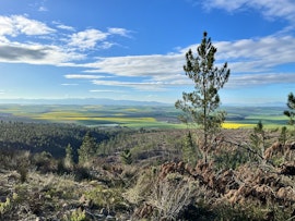 Overberg Accommodation at Napier Mountain Private Nature Reserve | Viya