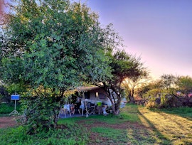 Dinokeng Game Reserve Accommodation at  | Viya