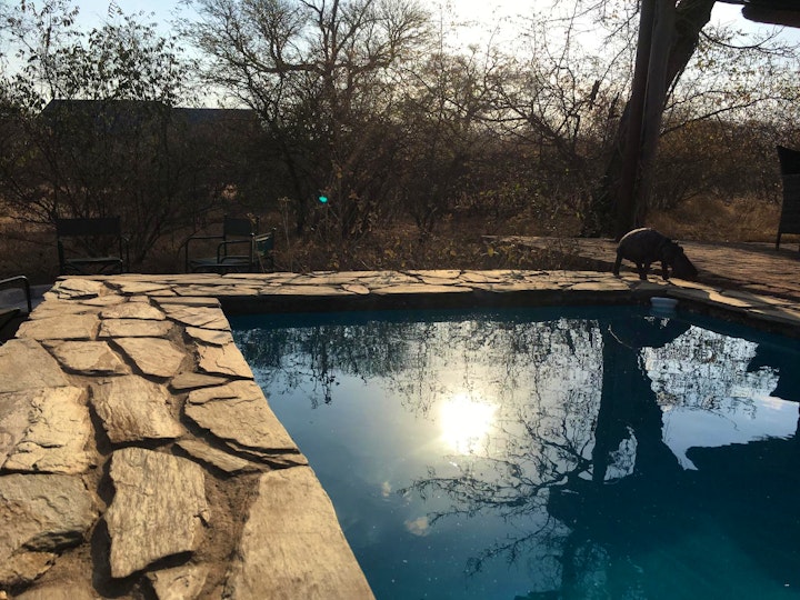 Limpopo Accommodation at Giraffe and Zebra Lodge | Viya