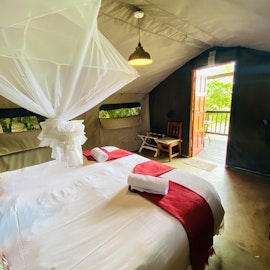 Mpumalanga Accommodation at  | Viya