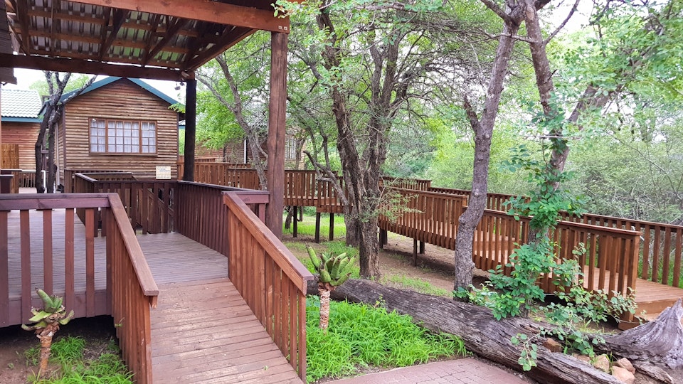 Kruger National Park South Accommodation at  | Viya